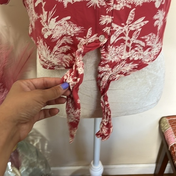 American eagle • palm leaf crop top - Picture 7 of 9